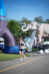 BIB: 
                            <button type="button" onclick="openModal(26542957)" class="btn btn-primary btn-sm float-right btn-popup" data-toggle="modal" data-target=".modal-high-quality">
                        <i class="fas fa-shopping-cart"></i> Add to Cart
                    </button>
                                            <button type="button" onclick="isThisMe(26542957, true)" class="btn btn-success btn-sm float-right btn-popup btn-isme hidden" data-toggle="tooltip" data-placement="bottom" title="นี่คือรูปของคุณใช่ไหม คลิกที่นี่เพื่อเอาเข้าอัลบั้ม">
                        <i class="fas fa-plus"></i> Add to album
                    </button>
                    <button type="button" onclick="isThisMe(26542957, false)" class="btn btn-warning btn-sm float-right btn-popup btn-isnotme hidden">
                        <i class="fas fa-ban"></i> Remove from album
                    </button>